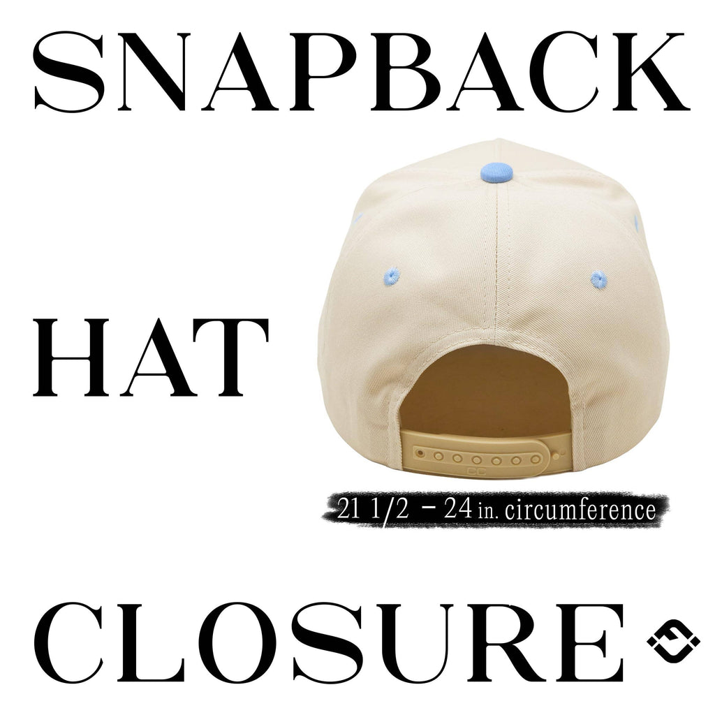 Retro Two Tone Cap - Expensive & Delusional-Light Blue/Beige